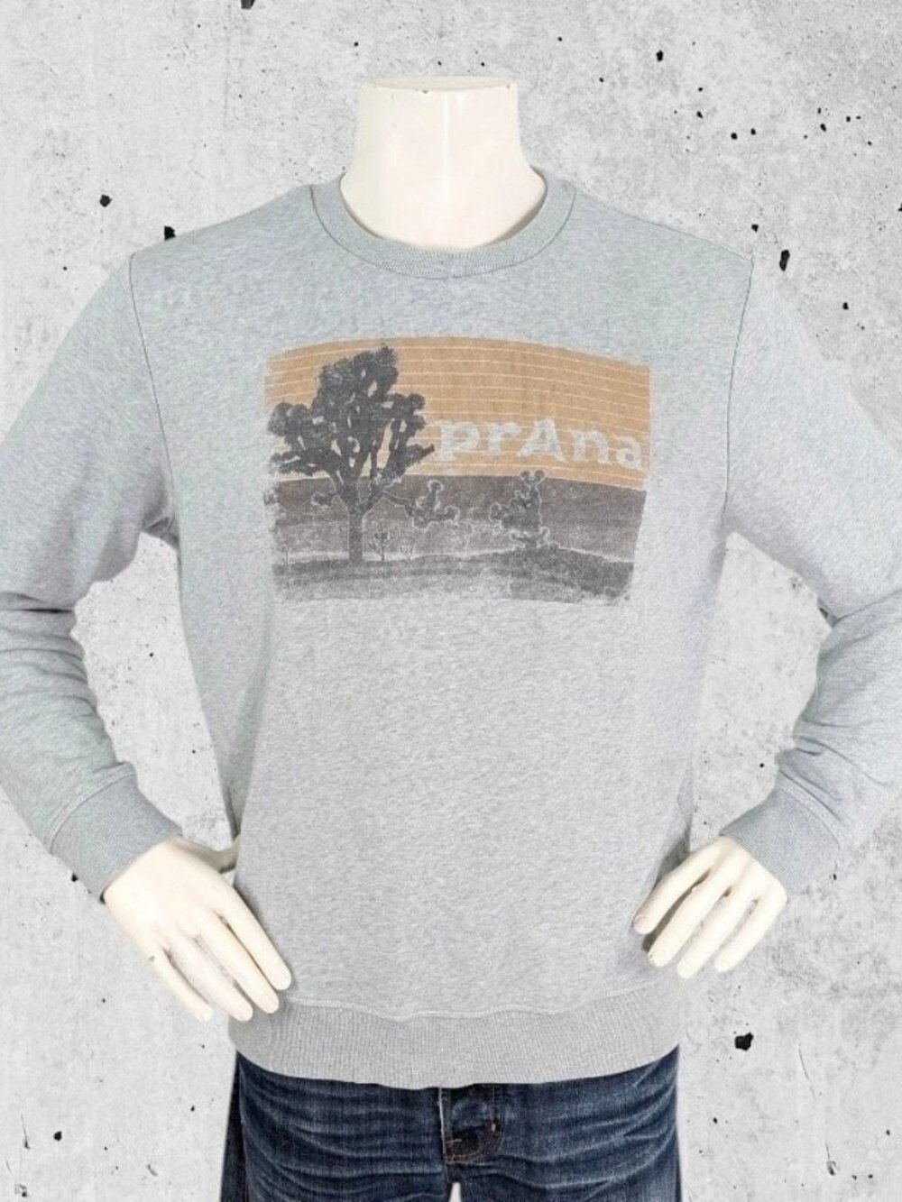 Prana Sweatshirt Size Medium Joshua Tree Graphic